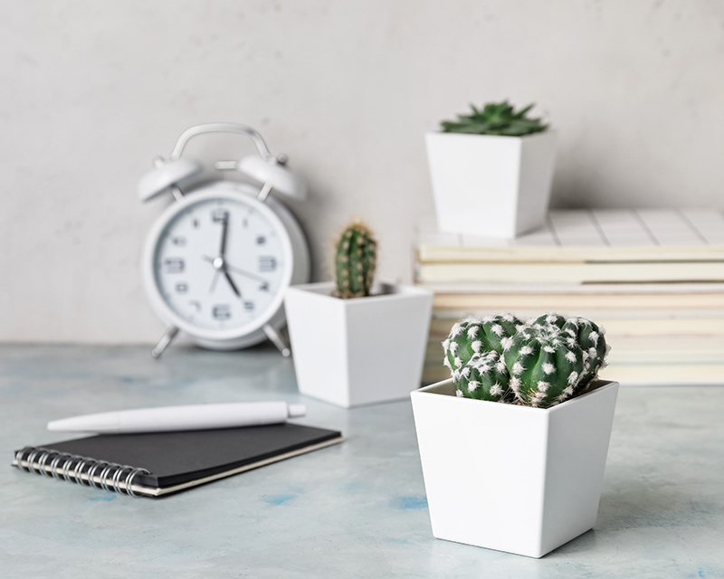 Clock with succulent plants during therapy session with Melissa O'Connor, Chicago Therapist